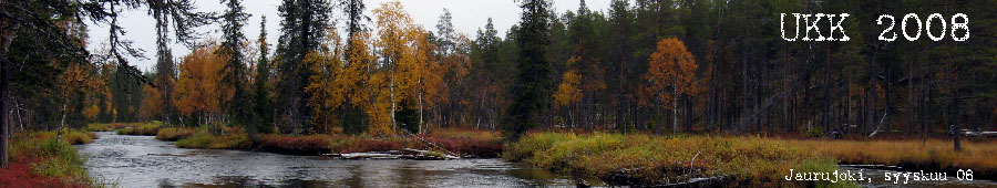 Jaurujoki