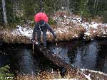 liittohaara