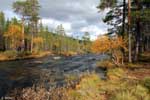 muorravaarakanjoki