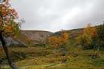 lumikuru