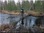 auhtijoki