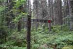 Pitkniemi